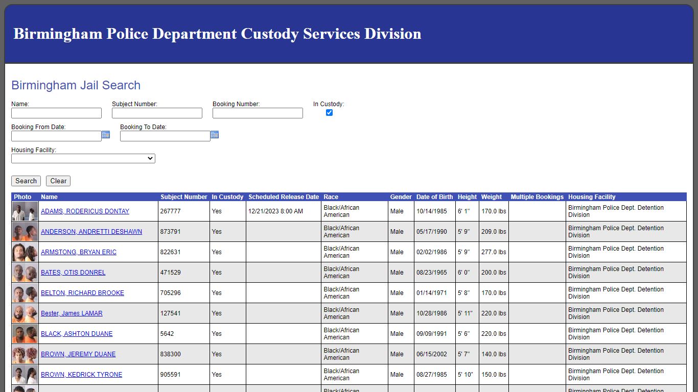 Birmingham Jail Search